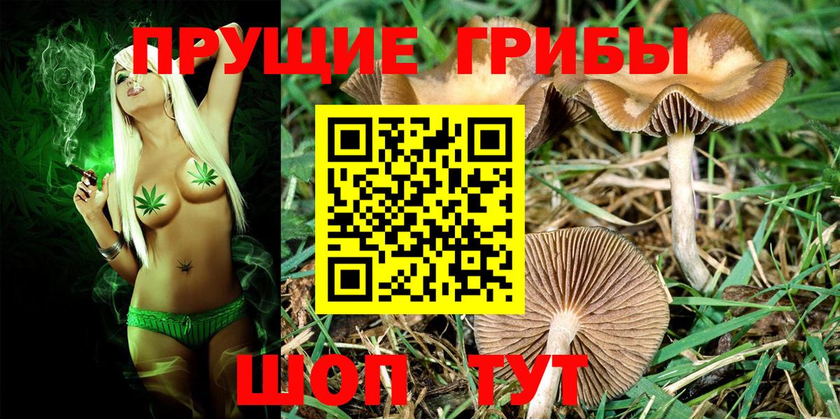 Галлюциногенные грибы GOLDEN TEACHER Тольятти