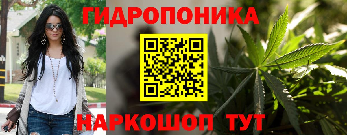 Тольятти  Канабис семена  Вход с VPN  Канабис семена  Марихуана White Widow  Шишки марихуана конопля 